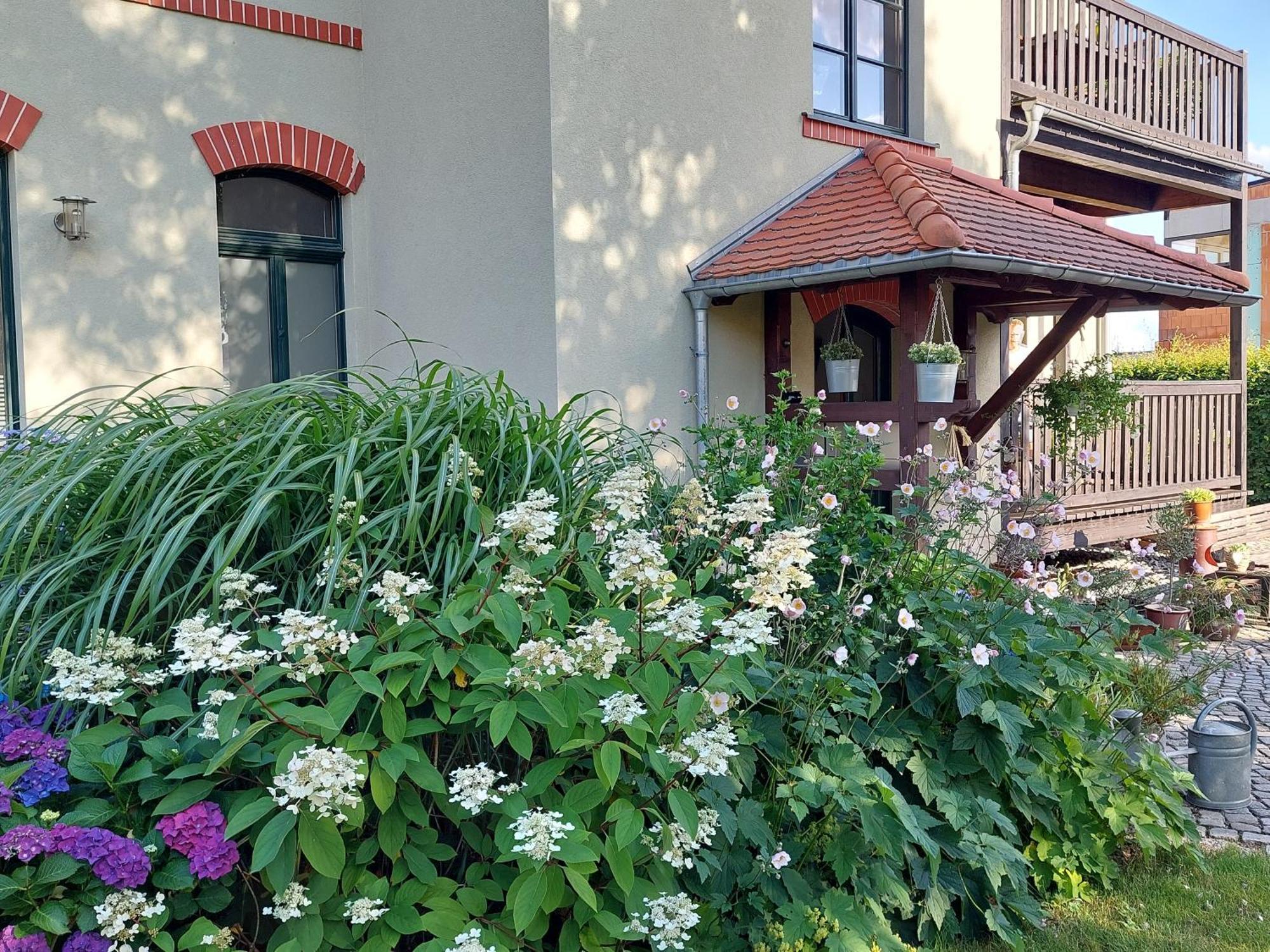 Ferienwohnung Am Buergerteich 2 Bischofswerda Exteriör bild
